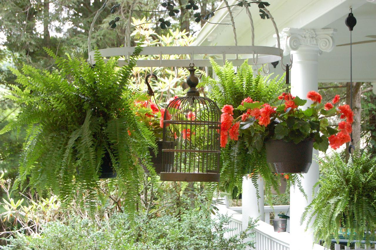 Mountain Laurel Inn Damascus Екстер'єр фото